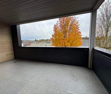 Brand New Junior Two Bedroom Condo - Photo 2