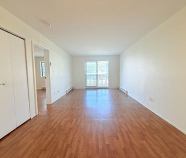 Appartement 3 ½ à louer Sainte-Foy / Sillery août 2027 - Photo 3
