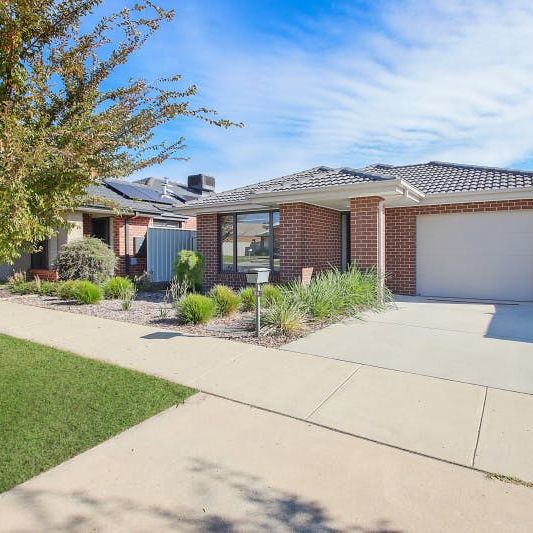 Low maintenance modern living! - Photo 1