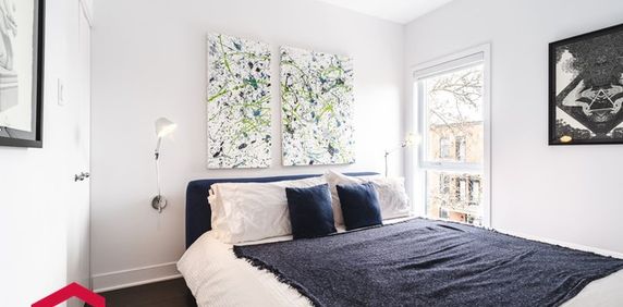 Appartement Rosemont/La Petite-Patrie (Montréal) À Louer - Photo 2