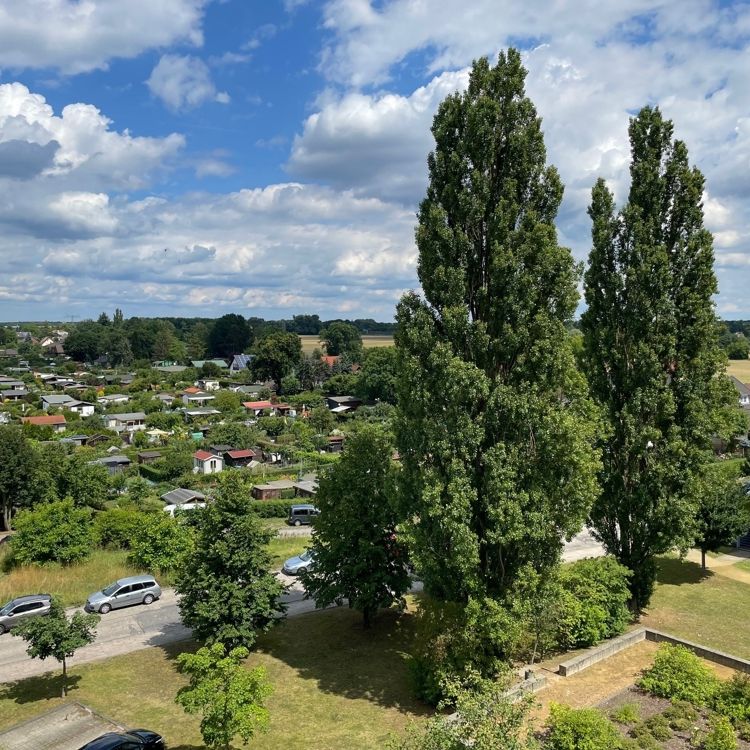 Ab 01.09.2024 kann das Ihre neue Wohnung sein - Foto 2