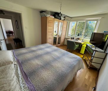 2.5 Zimmer, 50 m², 2. Stock - Photo 5