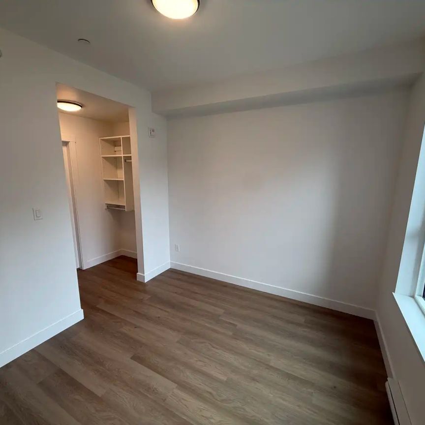 Scott 77 — 219 - Photo 1