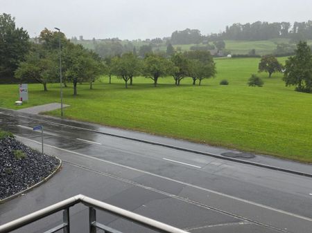 Traumhafte renovierte 4.5 Zimmer-Wohnung (120 m2) - Photo 2