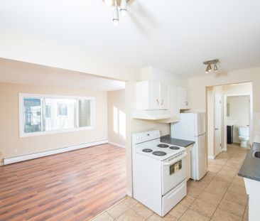 Alexander Apartments - Photo 4