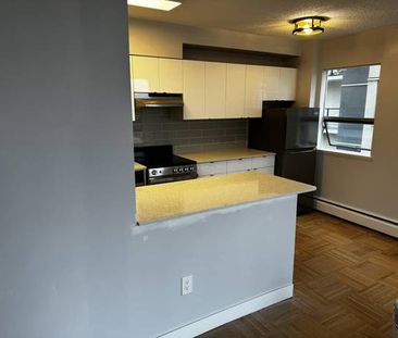 Newly Renovated 6th floor 1 Bedroom in the West End - Photo 3