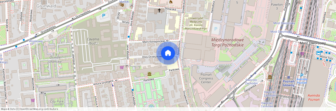 ul. Elizy Orzeszkowej, Grunwald, Grunwald, Poznań, wielkopolskie