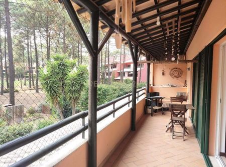 Charneca de Caparica e Sobreda, Setúbal Municipality - Photo 5