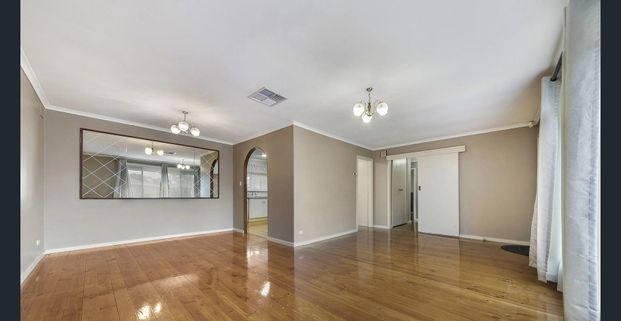 Spacious Family Home in Salisbury Park - Photo 1