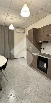 Trilocale in affitto - Photo 1