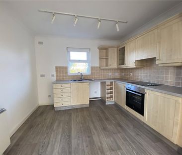 3 bedroom link detached house to rent - Photo 5