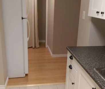 Hadden 55 — 1 Bedroom - Photo 2