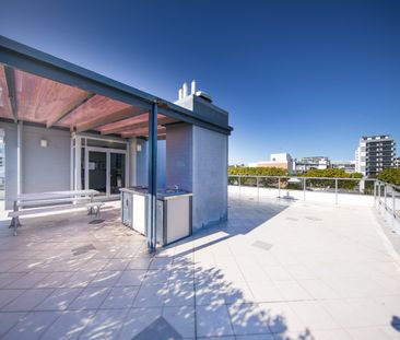 204/635 Gardeners Road, Mascot NSW 2020 - Apartment For Rent | Domain - Photo 5