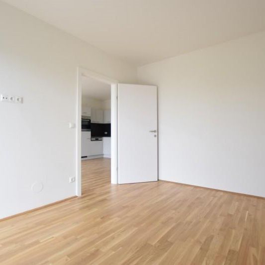 Gösting – 37m² – 2 Zimmer – großer 17m² Balkon – inklusive TG-Parkplatz – ideale Singlewohnung - Photo 1