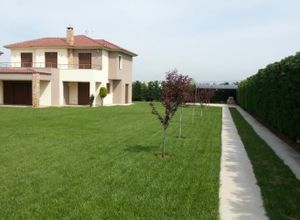 Μονοκατοικία για ενοικίαση - Θέρμη, - Photo 5