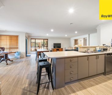 13 Olary Street, Amaroo ACT 2914 - House For Rent | Domain - Photo 1