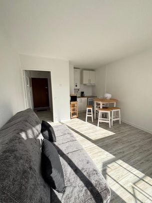 Location Appartement 1 pièce Meublé 23m² DAX 40100 - Photo 1