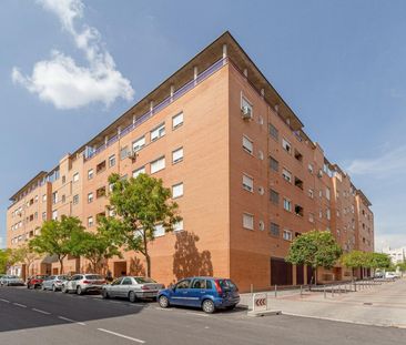 Piso de alquiler en Pergamino, 17, Valdebernardo - Valderribas - Photo 5