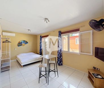 Location Appartement 1 pièce 26m² CAYENNE 97300 - Photo 2