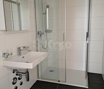 Impasse des Alpes 11 / 2,5 pièces de 90 m2 avec terrasse - Foto 2