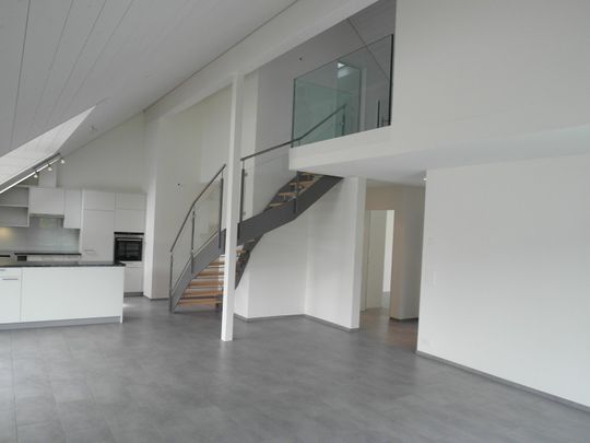 Attraktive 4.5 Zimmer-Maisonettewohnung im Hirschthal - Photo 1