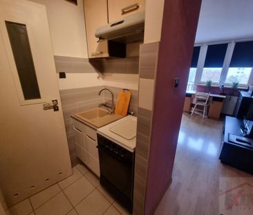 Kawalerka w centrum przy Galaxy, wynajem !!! (436990) - Zdjęcie 6