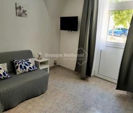 Location Appartement 1 pièce 17m² - Photo 3