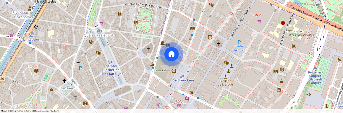 Rue des Hirondelles, 13, 1000, Bruxelles