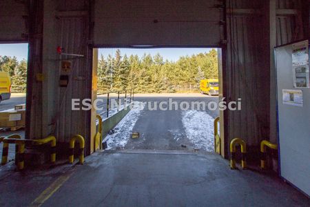 Piła, Zamość - Фото 5