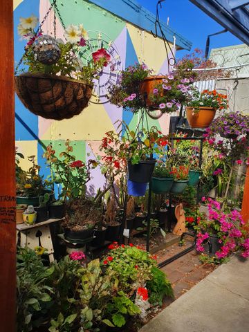 Collingwood - Photo 3