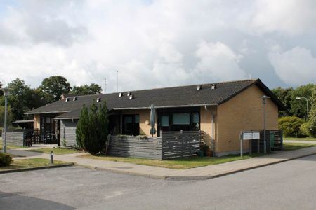 Byrum - Læsø - Photo 2