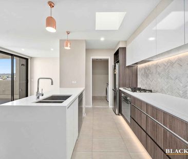 TOP FLOOR APARTMENT - Photo 6