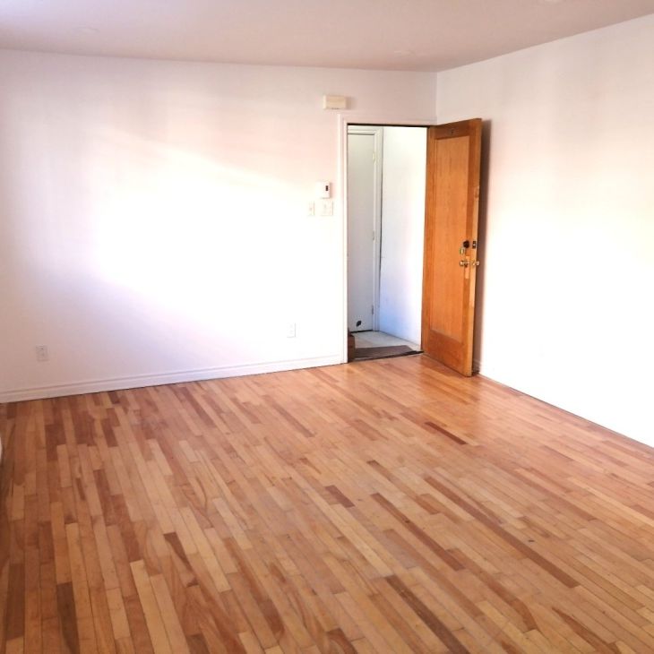 1950 Rue Alexandre-DeSève, app.9, H2L 2W3, H2L 2W3, Montréal - Photo 1