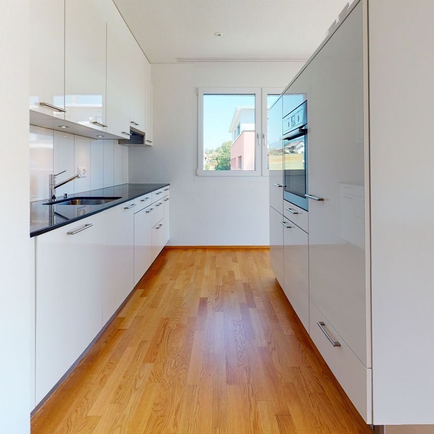 Grosszügige Attikatraum-Wohnung in ruhiger Lage sucht Nachmieter - Photo 1