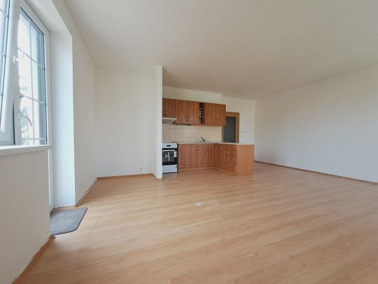 Pronájem bytu 1+kk 43 m² - Photo 1