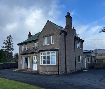 117 Hillsborough Road, Dromore, BT25 1QW - Photo 2