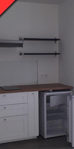 Location Appartement 1 pièce 31m² ST HERBLAIN 44800 - Photo 1