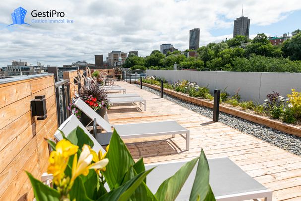 175 St-Vallier Est – Le Gecko - Photo 1