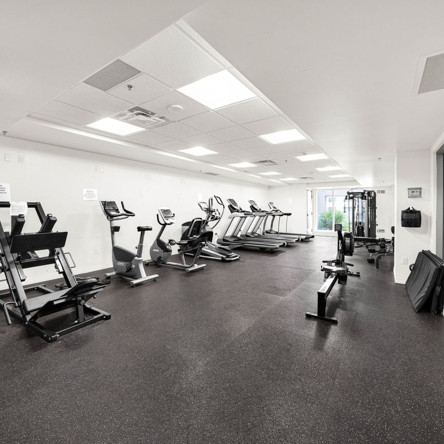 For Lease - 195 Besserer Street Unit# 1504, Lower Town - Sandy Hill, Ontario - Photo 1