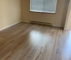 Half Duplex Within Walking Distance to all Downtown Amenities (Camp... - Photo 2