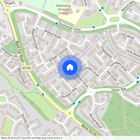 Cowslips, Welwyn Garden City, AL7