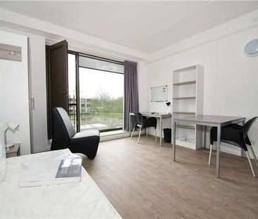 Studio Meublée De Lismortel 42 94, Eindhoven - À Louer - Photo 1