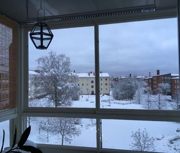 Rågången, Umeå - Photo 1