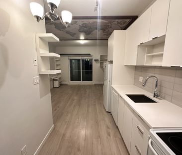 Bachelor Suite For Rent In Surrey/ Pets Allowed. - Photo 4