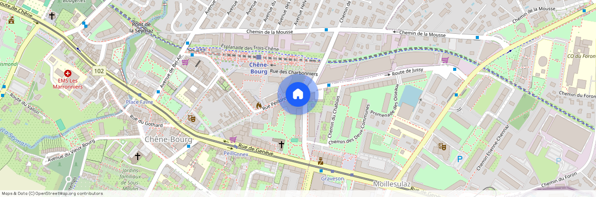 Rue Peillonnex 40, 1225 Chêne-Bourg