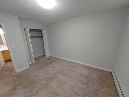 Pet Friendly 1 Bedroom 1 Bathroom Apartment - Photo 5