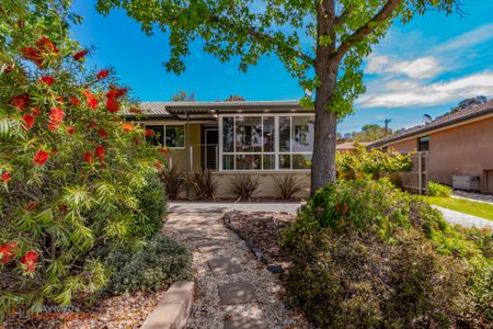 66 Lambrigg Street, Farrer ACT 2607 - House For Rent | Domain - Photo 2