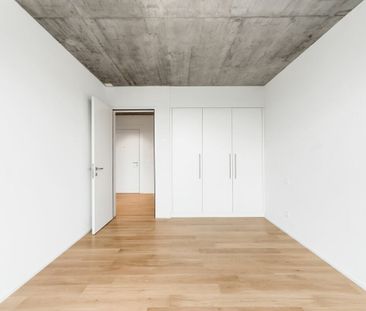 3.5-Zimmer-Attikawohnung - Photo 1