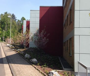 2-Zimmer-Wohnung in Kronberg mit Balkon - Foto 3