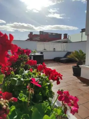 Calle Montaño, Málaga, Andalusia 29012 - Photo 4